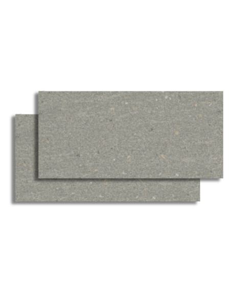 Compacta Graphite Natural 60x120